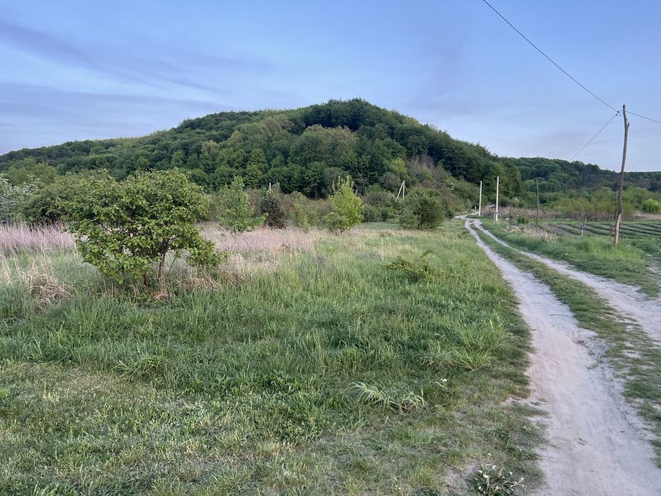 Продам ділянку с.Глинськ біля лісу