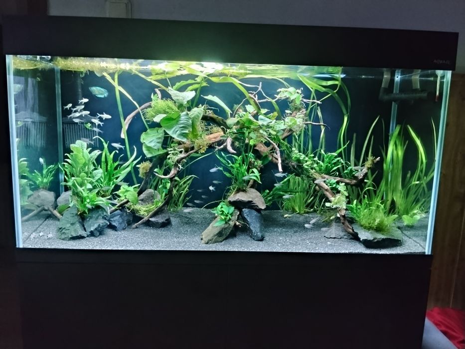 Zestaw akwarium Aquael opti set 200L