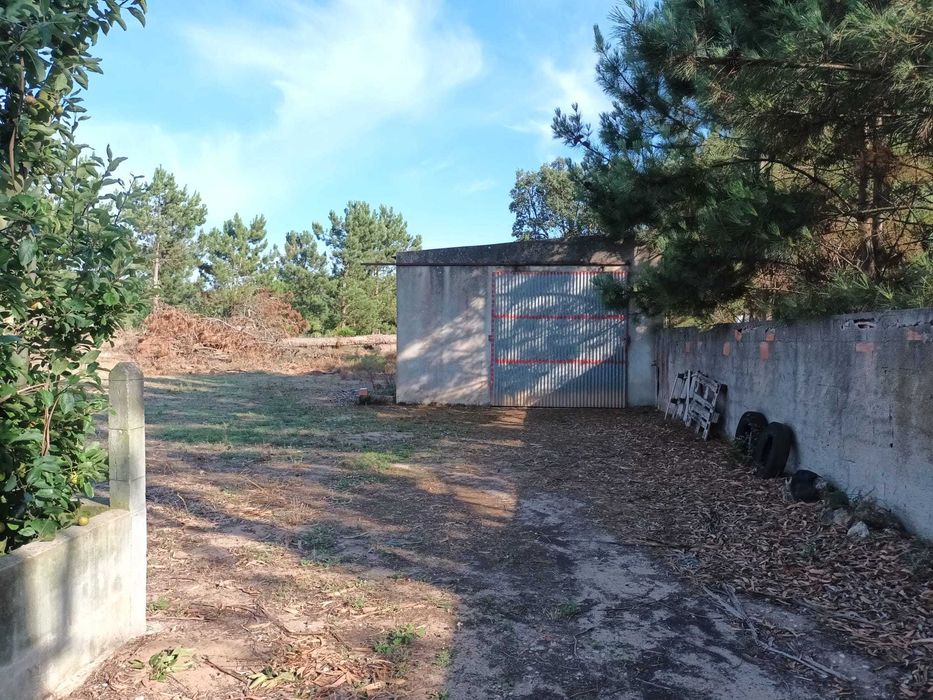 Terreno em Óbidos - 2.4 ha - Outras áreas agrícolas