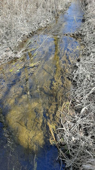 Будинок м.Корець. 74соти землі..