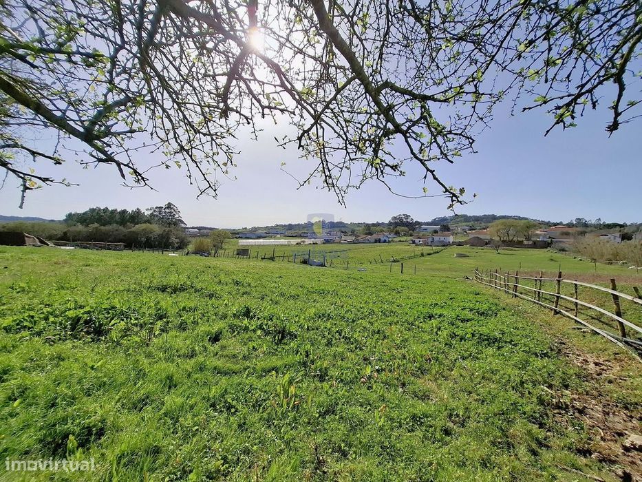 Terreno urbano com 15.867 m2 em Cela, Alcobaça,  e ruína de 336,30 m2