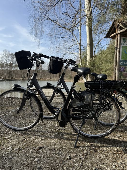 zestaw 2 rowerow elektrycznych gazelle