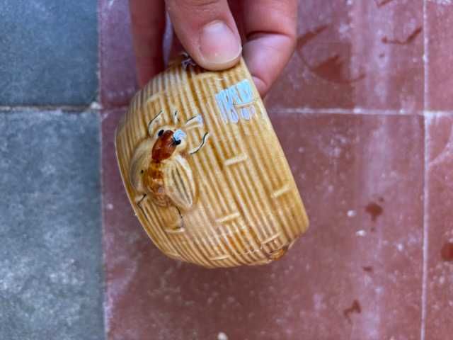 Malguinha da SECLA
