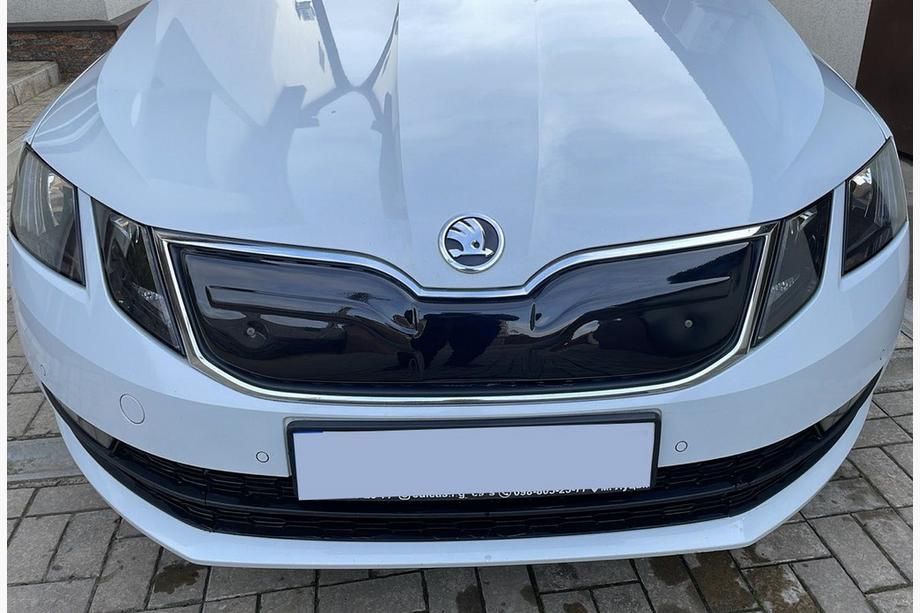 Зимова решітка радіатора для Skoda Octavia A7