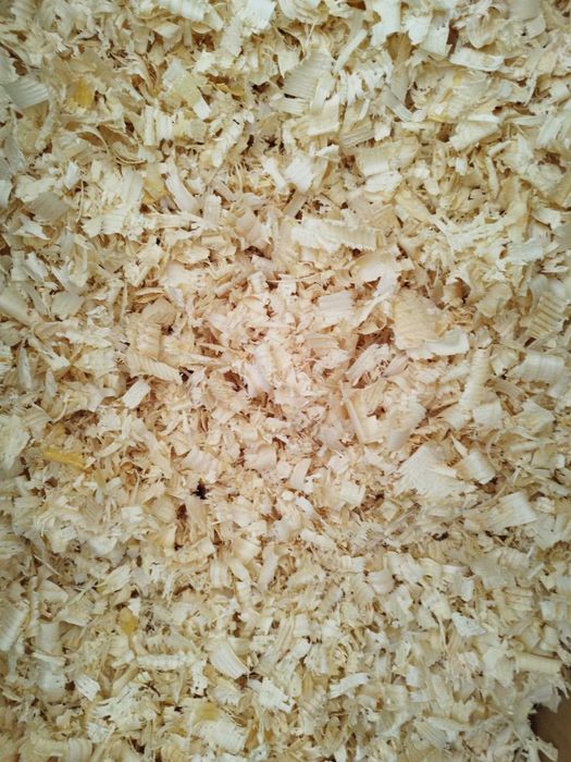 Trociny ekologiczne !