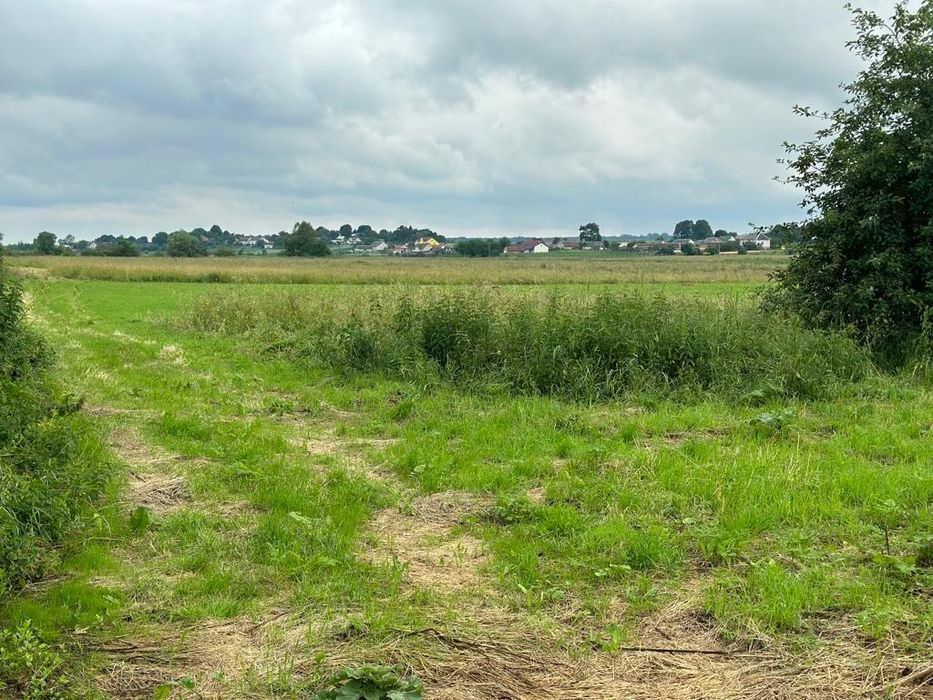 Земельна ділянка с.Дідилів