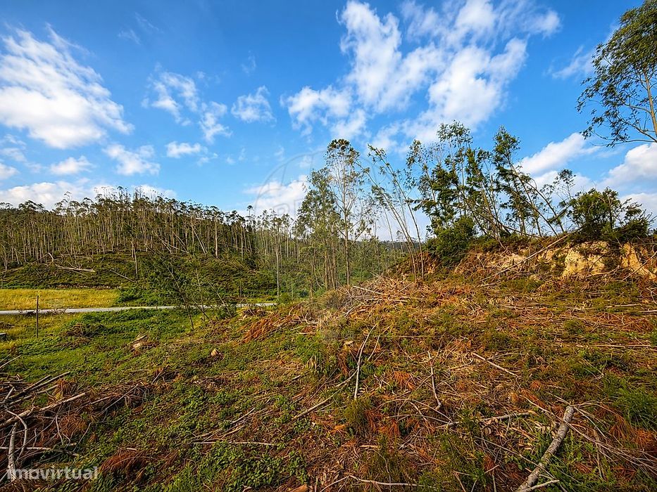 Terreno  para venda