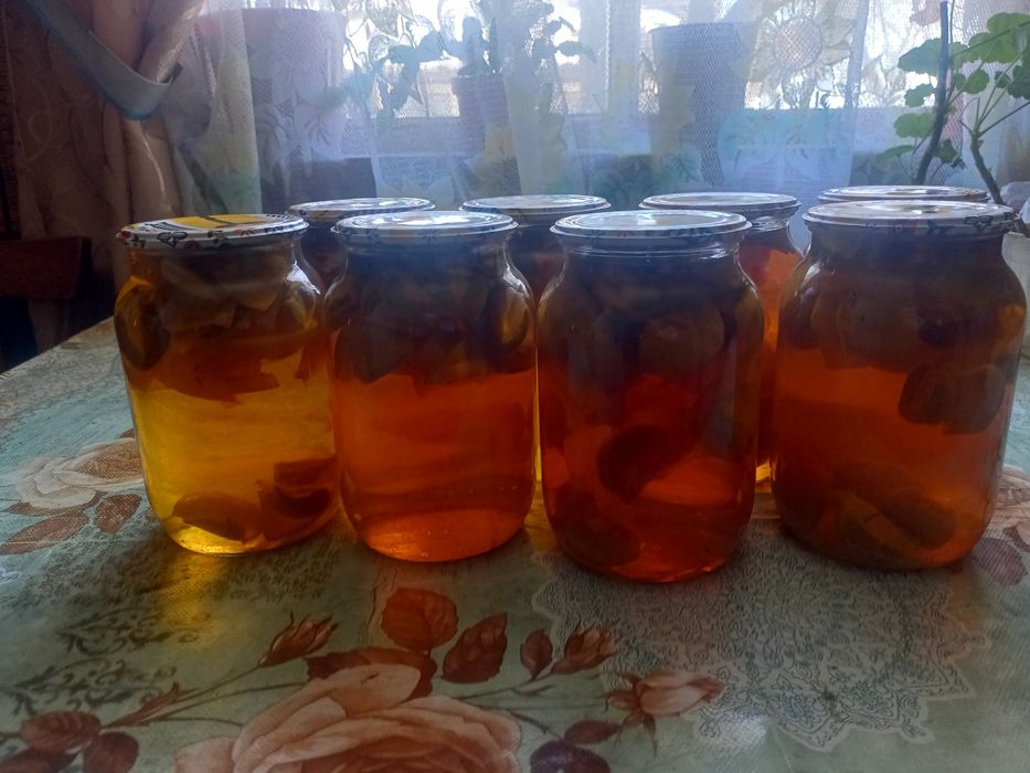 Продам гриб веселка.