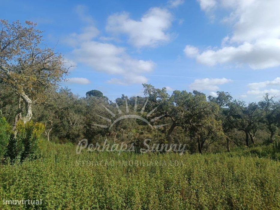 Terreno Rustico São Francisco da Serra
