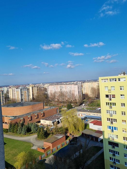 , Sikornik