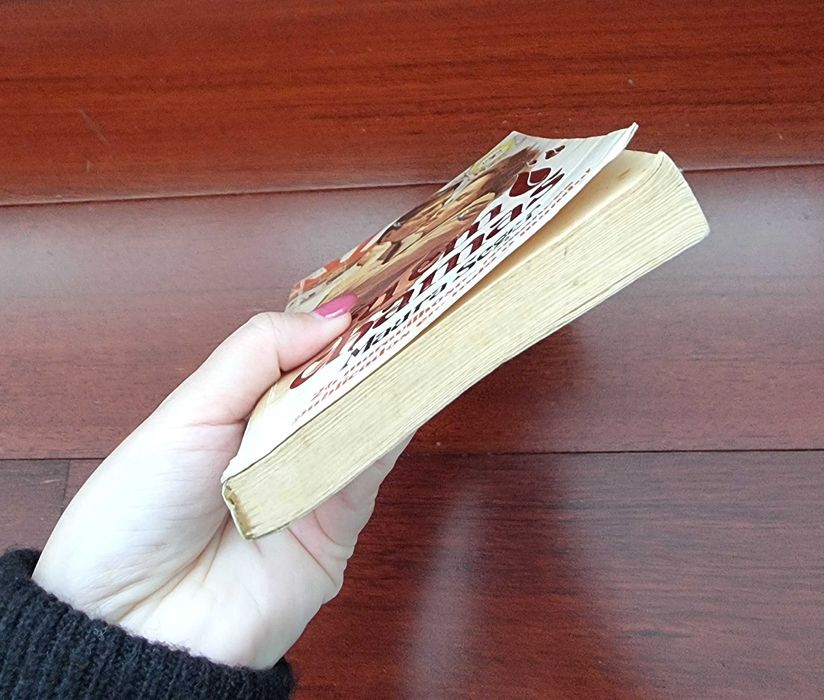 Livro "Céu em Chamas" de Maura Seger