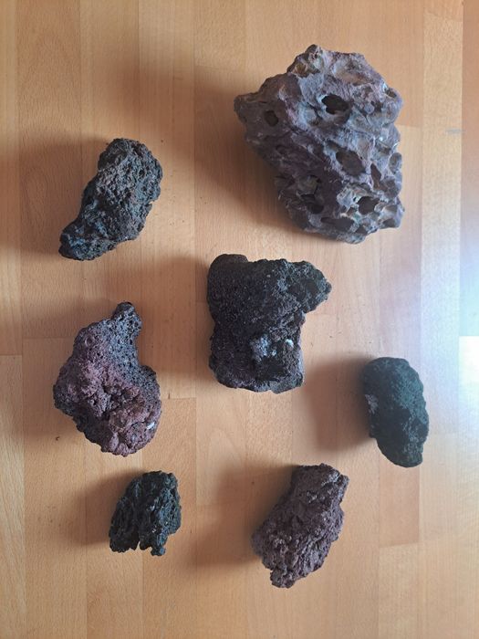 Aquário decoração