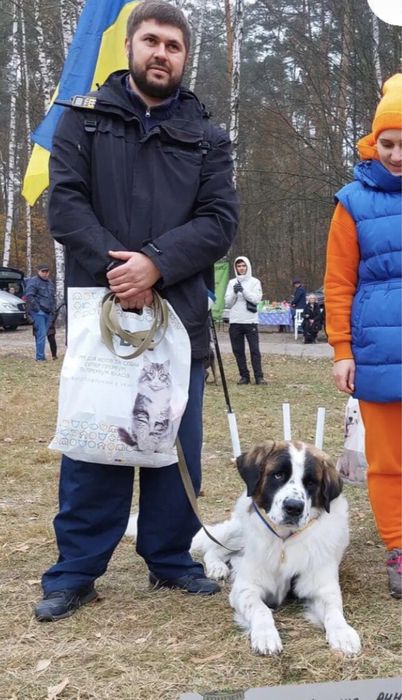 Московська охоронна,Кобель.!Московская сторожевая.