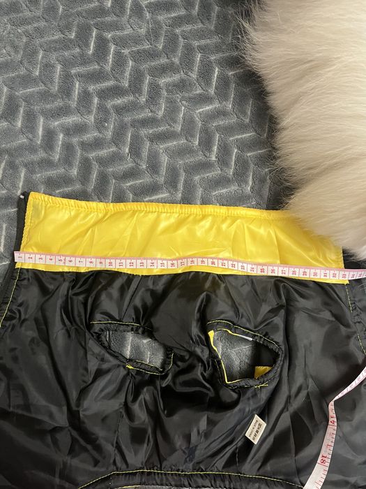 Одяг для песика