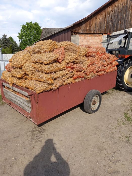 Ziemniaki paszowe 20gr/1kg