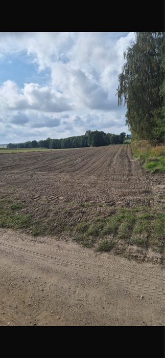 Działka Łomża ul Elbląska Sprzedam 1,36 ha - Widok 2