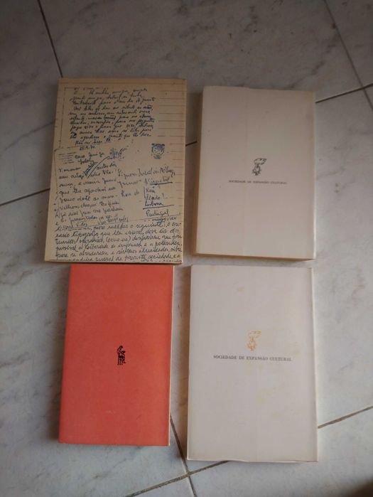 Livro “O homem que viveu a noite” de Elvira da Costa Nunes e Outros