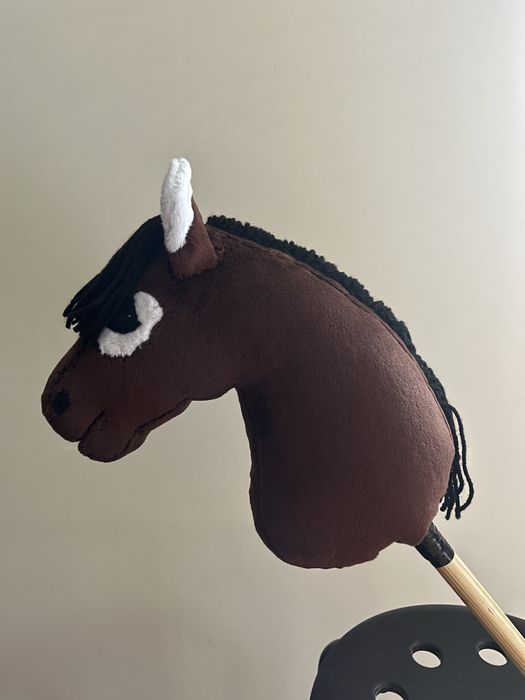 Konik hobby horse