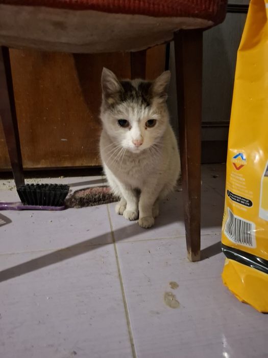 Błagam podaruj mi dom