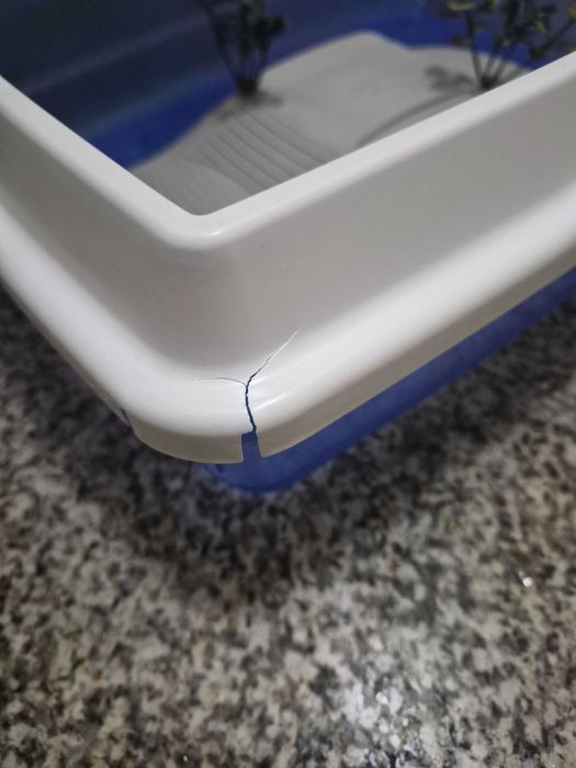 Tartarugueira | Aquário tartaruga