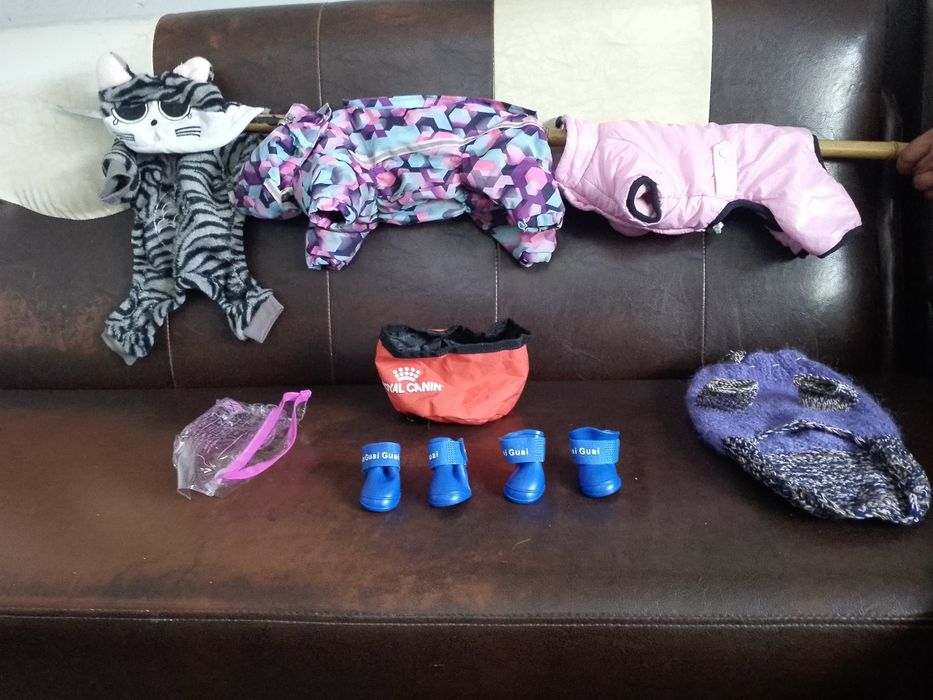 Одежда для собак  одним лотом