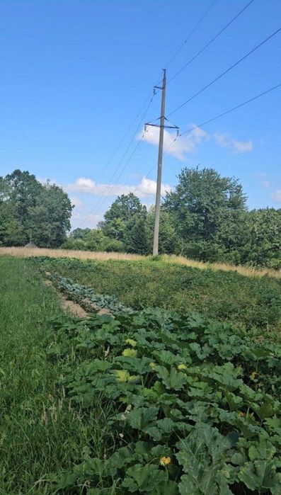 Земельні ділянки 1.05га/с.Стопчатів/Косівський район