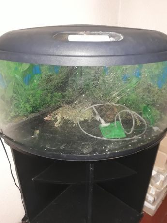Sprzedam akwaria z szafkami i wyposazeniem