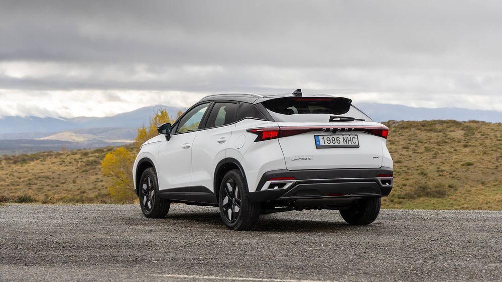 Zdjęcie w galerii numer 6