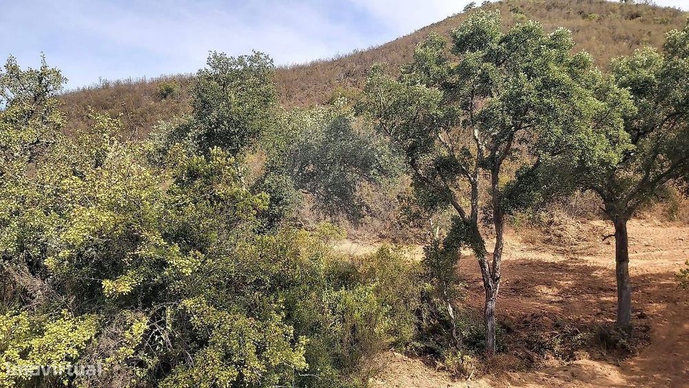 Terreno  para venda