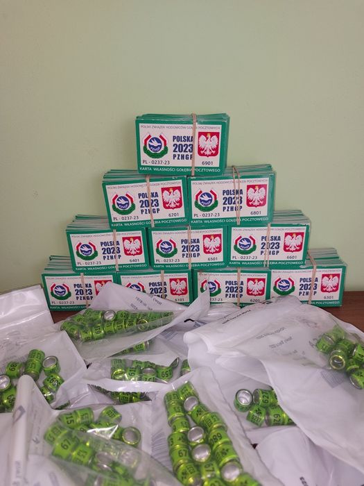 100 sztuk obrączek 2023 z kartami