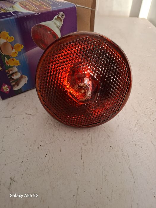 Lampada de aquecimento