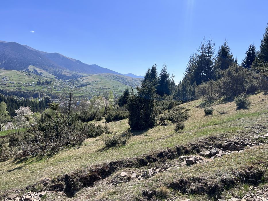 Продається ділянка  у селі Синевир