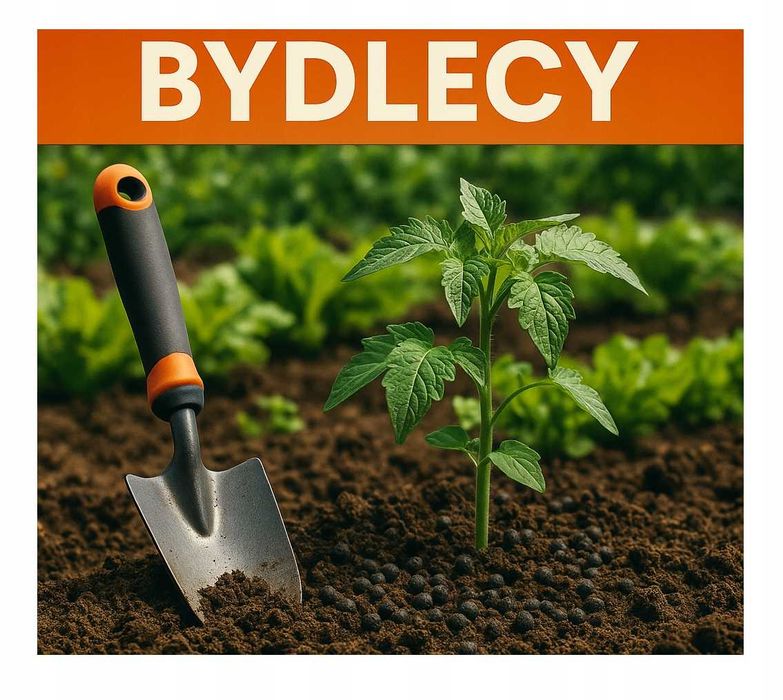 Obornik bydlęcy, obornik z dostawą, granulowany obornik pod warzywa