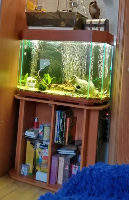 Акваріум з тумбою