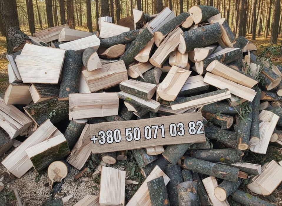 Дрова колоті твердих порід