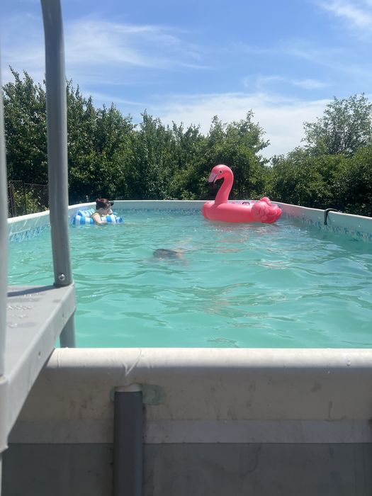 Бассейн каркастный intex