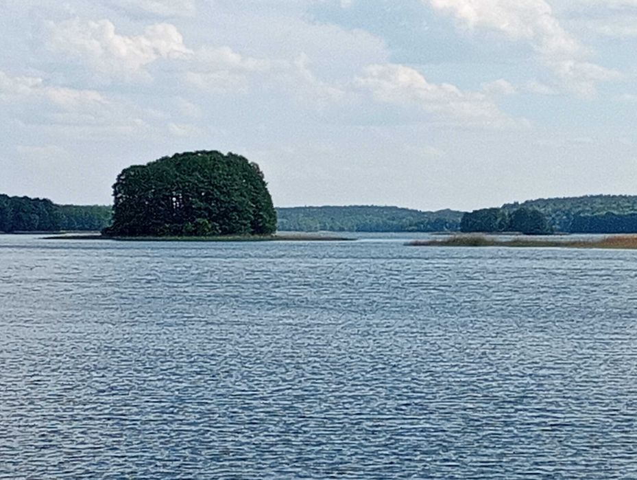 Domek letniskowy Leśniczówka