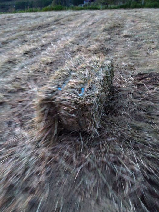 Vendo fardos Ponte Lima