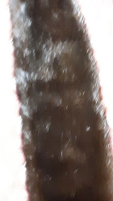 Gola em pelo de visão  65 cm 10cm