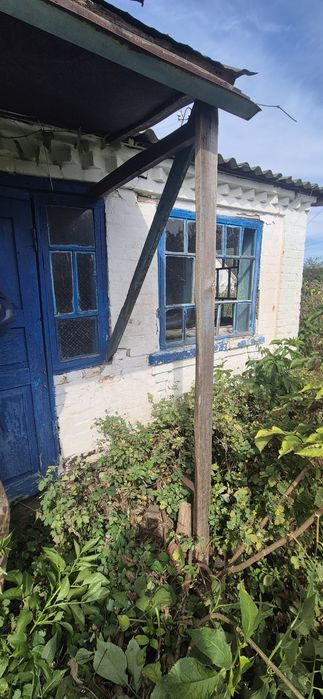 Будинок під реконструкцію. Мала вільшанка