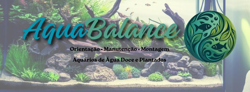 Aquários Sem Stress: Montagem, Manutenção e Soluções Personalizadas