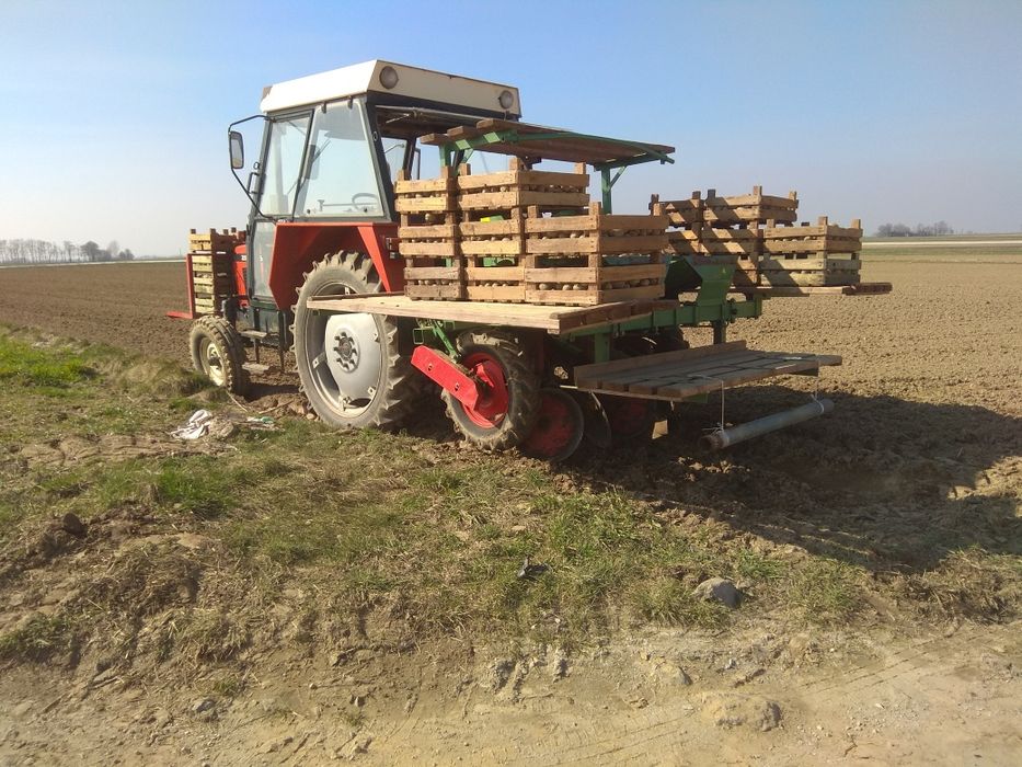 Koła wąskie do miedzyrzędzi 9.5 / R 36 Cultor do Zetor Ursus