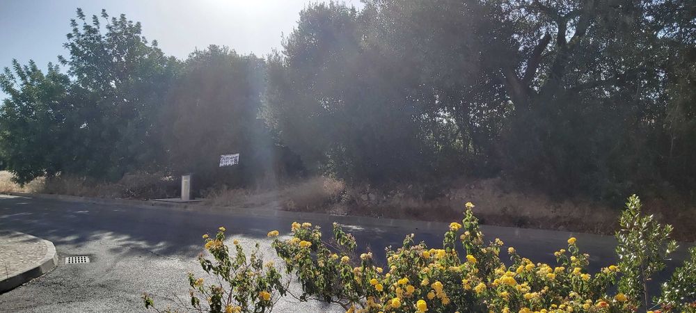 Oportunidade para passatempo de Agricultura no centro de S. Brás