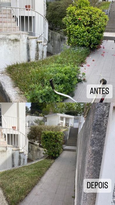 Limpeza de terrenos