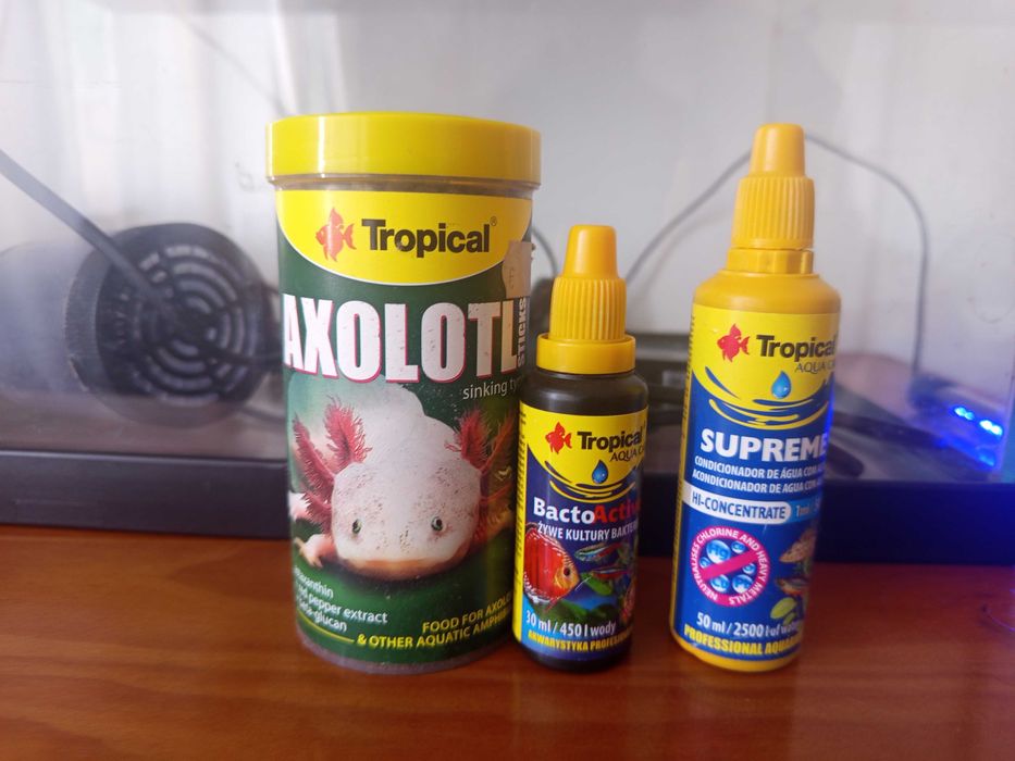 Aquário e acessórios