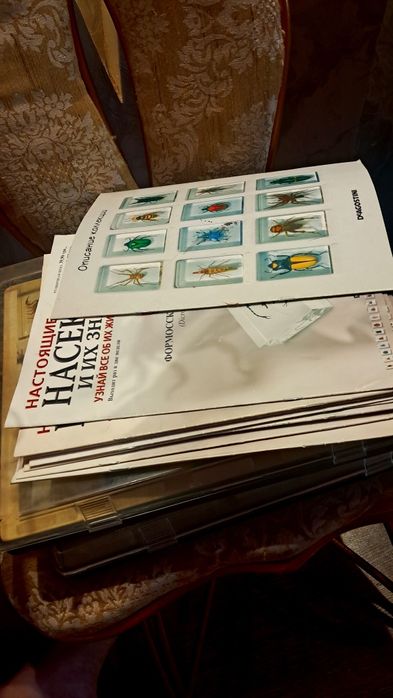 Коллекция насекомых.Коробка для насекомых. З