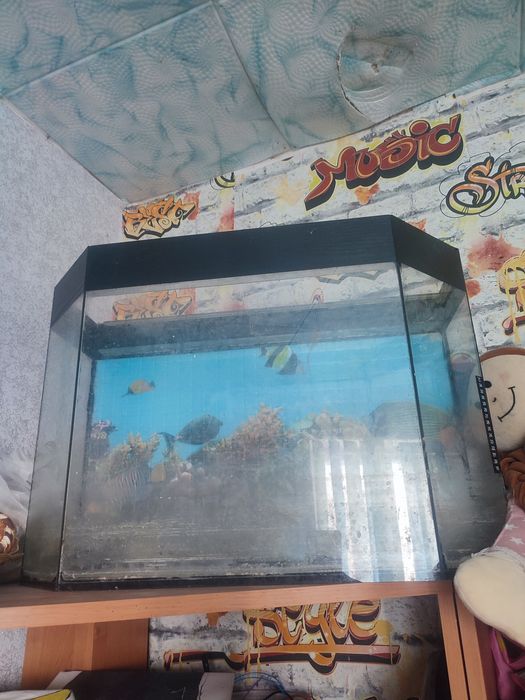 Акваріум великий