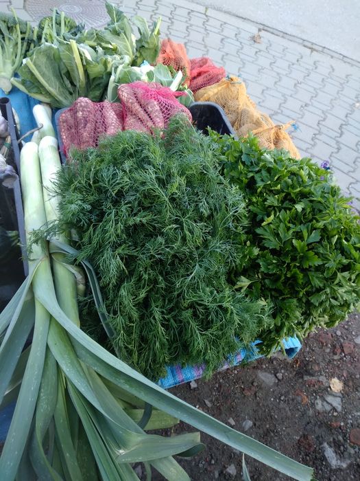 Warzywa i owoce od rolnika. Ziemniaki do sadzenia.