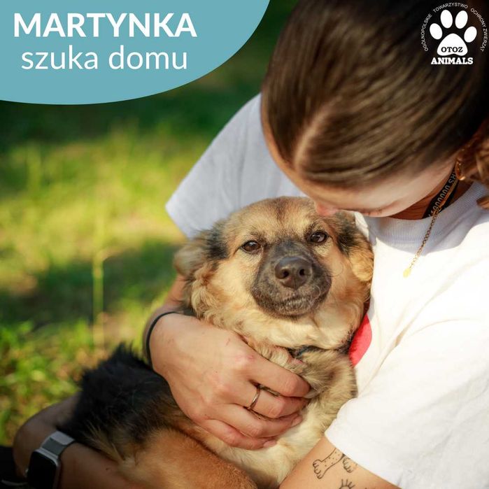 Przepiękna Martynka szuka domu!