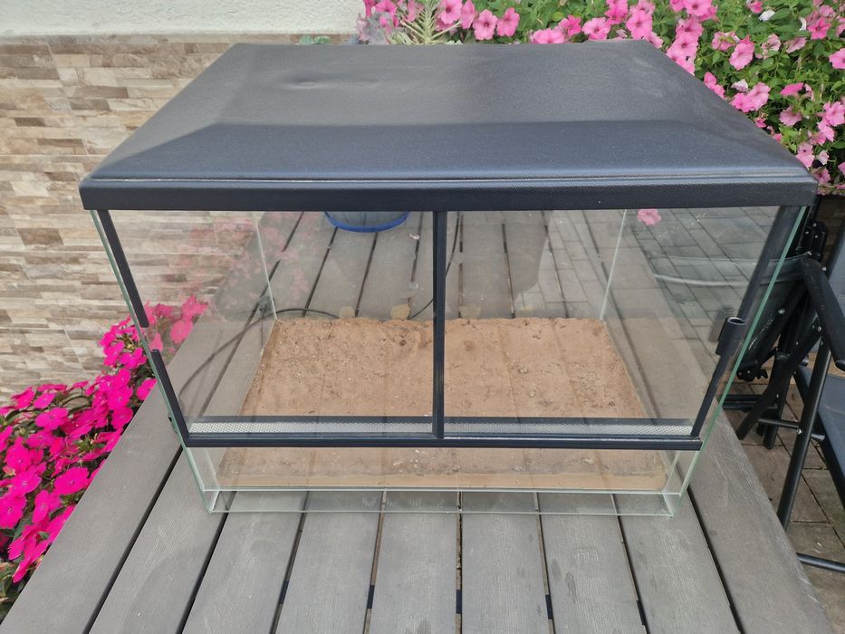 Terarium szklane